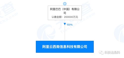 阿里巴巴成立阿里云西南科技公司，注冊資本20億元深耕計算機軟硬件技術開發(fā)